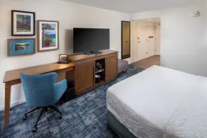 Hampton Inn & Suites Asheville Airport - Chambre