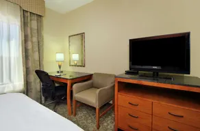 Hampton Inn & Suites Buffalo - Rum