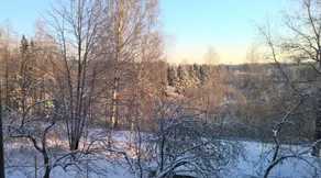 Villa Jokivarsi Bed & Breakfast - View from room