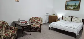 Guesthouse Casa Baciu - Room
