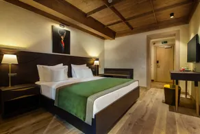 Ana Hotels Bradul Poiana Brasov - View from room