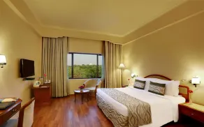 Hotel Clarks Shiraz - Chambre