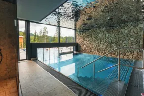 TRIFORET alpin resort by Falkensteiner - Pool