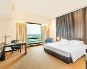 Hyatt Raipur - Chambre