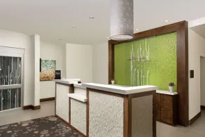 Hilton Garden Inn San Antonio Airport South - Réception