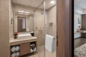 Welcomhotel By ITC Hotels Bodh Gaya Hotel & Convention Centre - Badeværelse