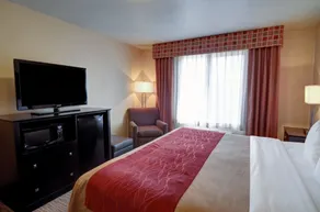 Comfort Inn & Suites Amarillo West Near Medical Center - Chambre