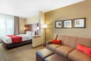 Comfort Suites Glendale - State Farm Stadium Area - Room