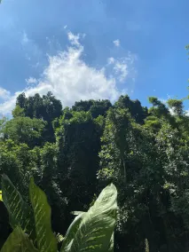 Casa São Conrado - Utsikt fra rommet