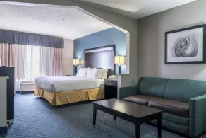 Holiday Inn Express & Suites Roanoke Rapids by IHG - Chambre