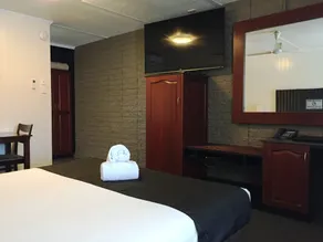 Country Plaza Motor Inn - Room