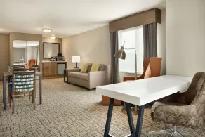 Hilton Garden Inn Dubuque Downtown - Chambre