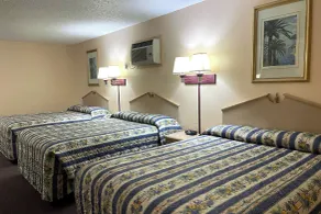 Seminole Inn Near New Mexico Hwy 62 - Chambre