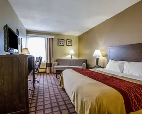 Quality Inn Perryville I-55 - Rom