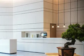 Shenzhen FY Hotel - Reception