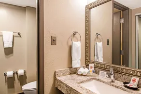 Comfort Inn Largo-Washington DC East - Salle de bain