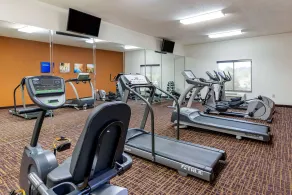 Comfort Inn & Suites Blue Ridge - Salle de remise en forme