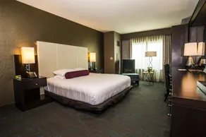 Wind Creek Casino & Hotel Wetumpka - Chambre