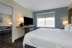 Holiday Inn - Tampa North by IHG - Chambre