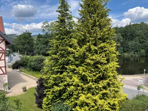 Haus am See - Vista dalla camera