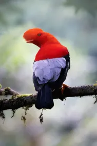 Refugio Paz de las Aves - Senderismo