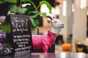 Moxy Poznań Airport - Réception