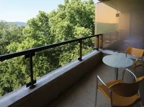 Ensana Thermal Margaret Island - Vistas desde la habitación