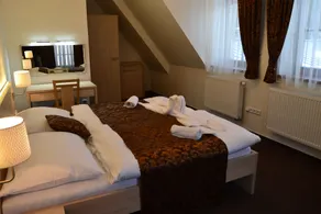 Wellness hotel Sauna - Habitación