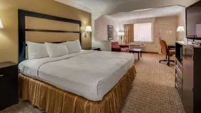 Best Western Inn & Suites of Macon - Chambre