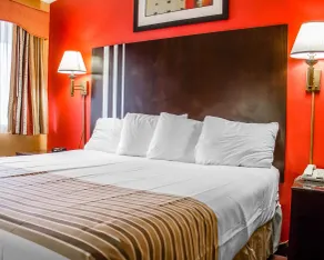 Rodeway Inn MacArthur Airport - Room