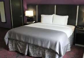 Holiday Inn Express & Suites Columbus - Polaris, an IHG Hotel - Chambre