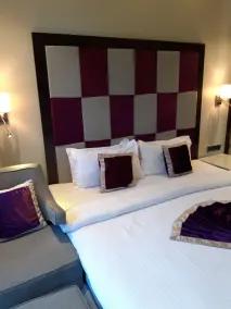 The Flora Grand, Vasco, Goa - Room