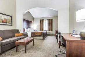 Comfort Inn & Suites Love Field-Dallas Market Center - Chambre