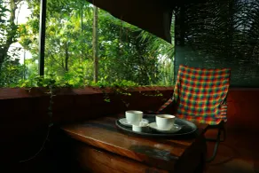 Grassroots Wayanad, Valley-view Tents - View from room