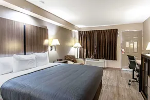 Econo Lodge Kingsville - Chambre