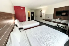 Ramada by Wyndham Lithia Springs Atlanta - Chambre