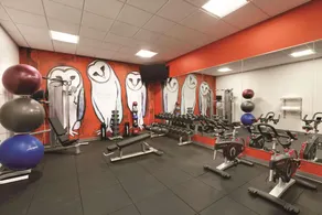 Radisson Red Minneapolis Downtown - Salle de remise en forme