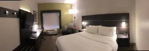 Holiday Inn Express Hotel & Suites Decatur by IHG - Chambre