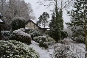 Llethrau Forest & Nature Retreats - View from room
