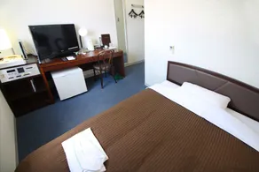Royal Inn Kakegawa (Station Hotel 2) - Camera
