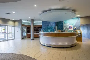 SpringHill Suites Tampa North/Tampa Palms - Réception