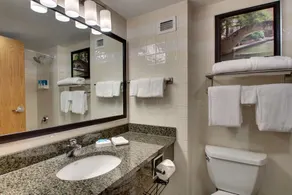 Drury Inn & Suites San Antonio Northwest Medical Center - Bathroom