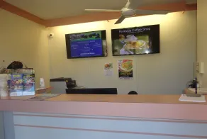 Forster Palms Motel - Reception
