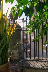 Casa Lupita Hostel - View from room