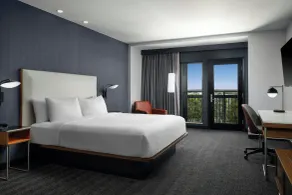 Courtyard by Marriott Dallas DFW Airport North/Grapevine - Chambre