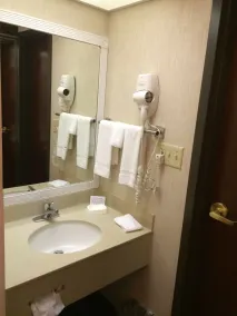 Quality Inn Schaumburg - Chicago near the Mall - Salle de bain