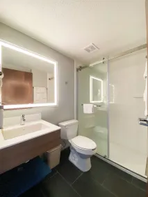 Microtel Inn & Suites by Wyndham Columbia - Salle de bain