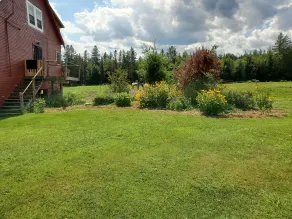 The Inn at OxBow Acres - Udsigt fra værelset