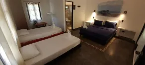Dreamer Palomino - Room