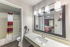Red Roof Inn Dallas - Mesquite Fair Park NE - Salle de bain